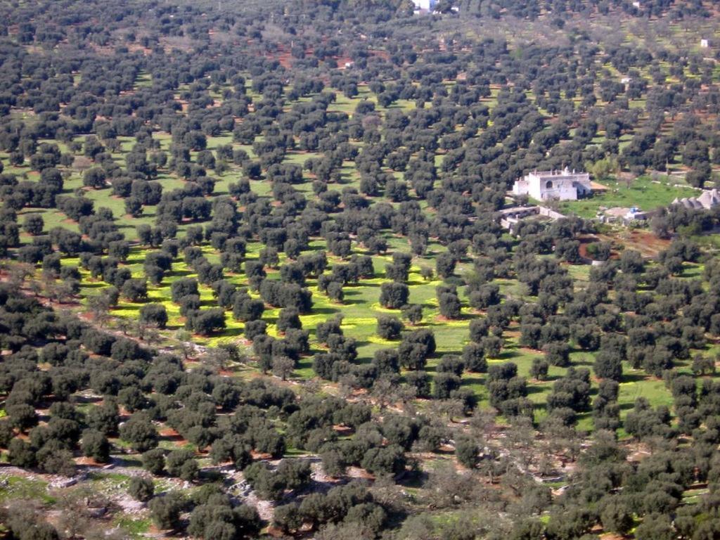 Aparthotel I Trulli Di Acquarossa Cisternino Exterior foto